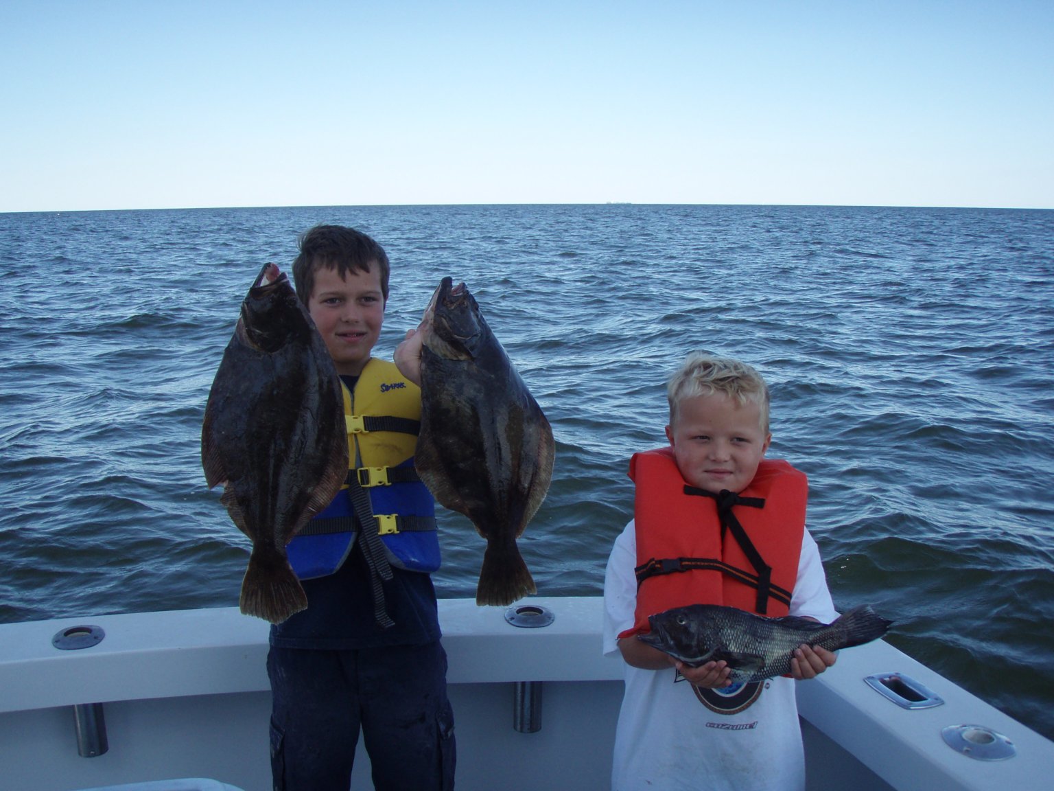 Summer Flounder Fluke