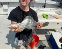 455658798 380133188453068 n